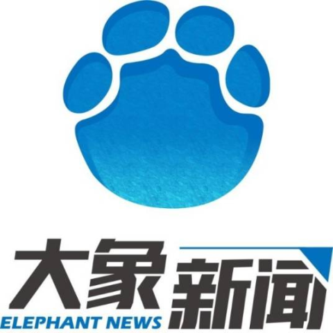 大象网